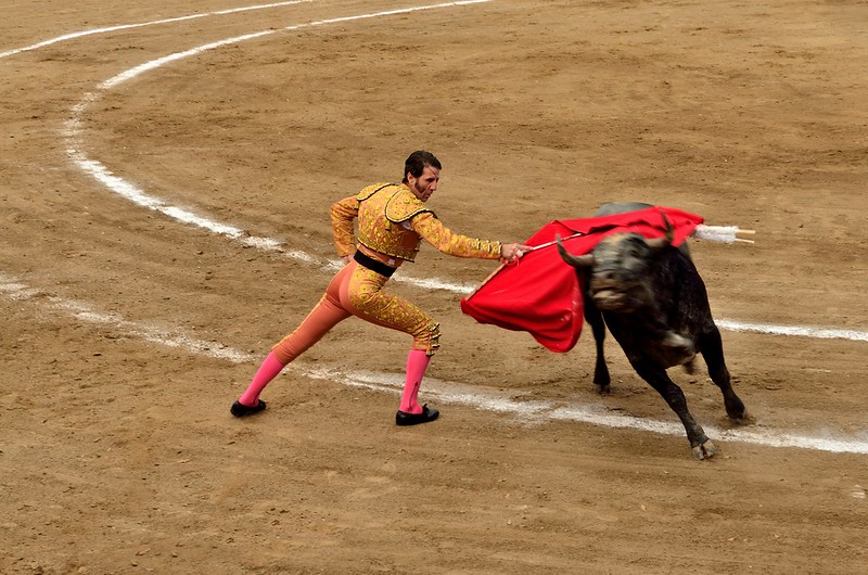 A Spectators Guide to the Bullfighting Tradition in Mexico