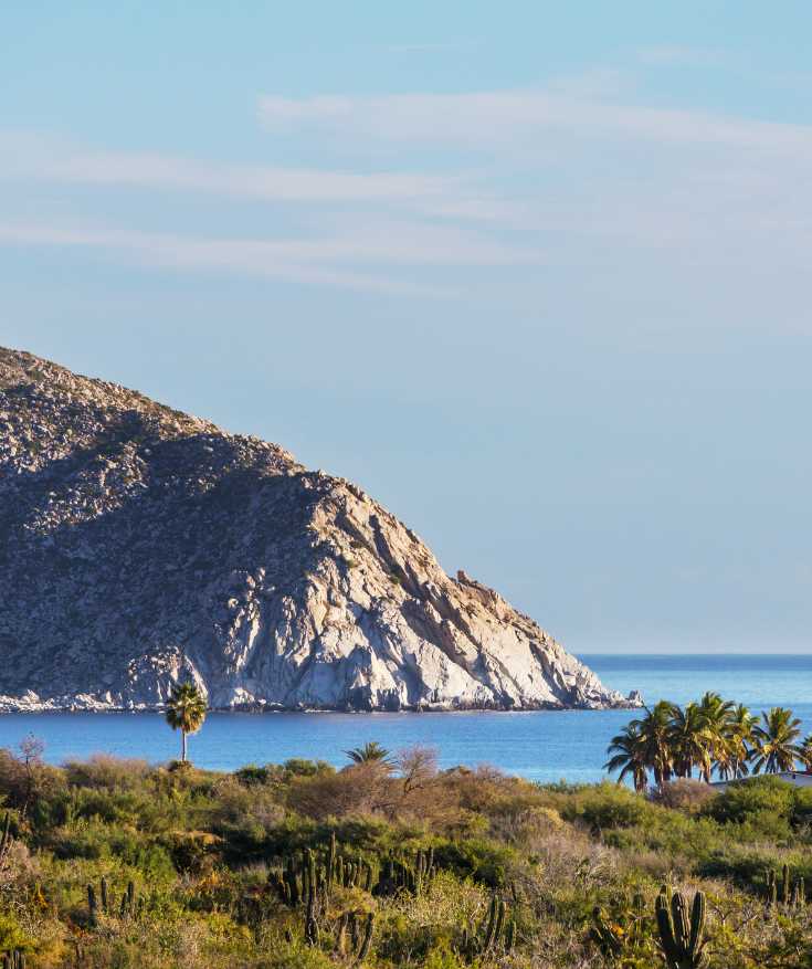 Exploring Mexicos Baja California Peninsula: A Haven for Astonishing Wildlife
