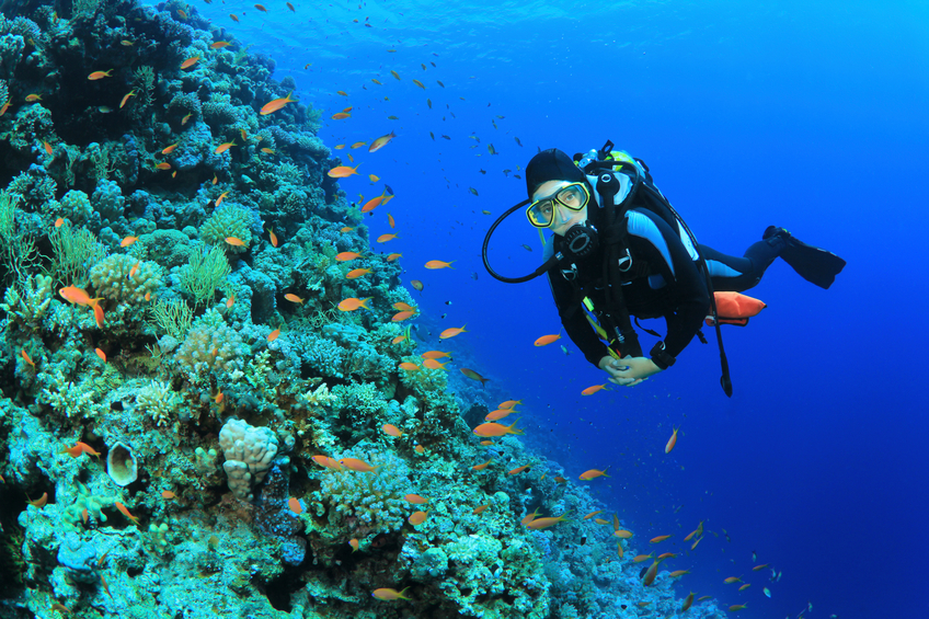Exploring the Depths: Mexicos Top Scuba Diving Destinations