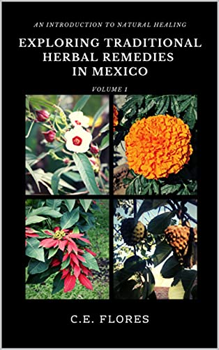 Exploring the Healing Powers: Traditional Herbal Remedies of Mexico