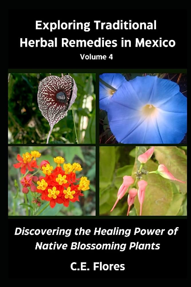 Exploring the Healing Powers: Traditional Herbal Remedies of Mexico