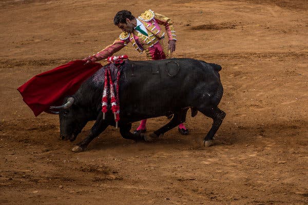 Exploring the Thrilling Bullfighting Tradition in Mexico