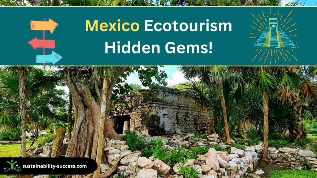 Unveiling Mexicos Rich Biodiversity Through Ecotourism