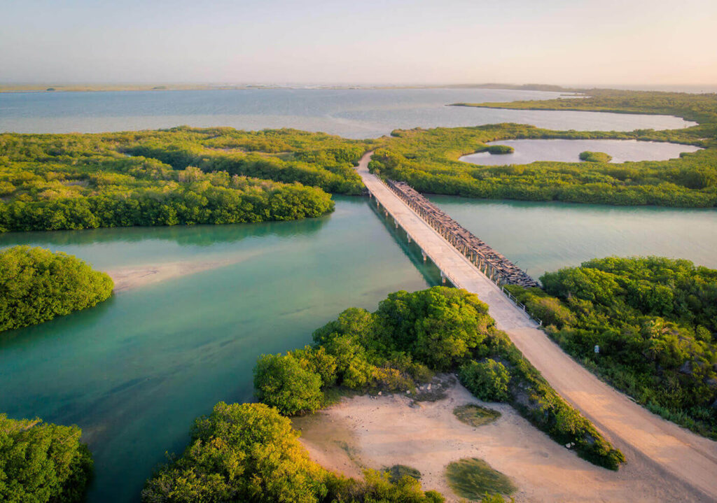 Unveiling the Breathtaking Fauna of Mexicos Sian Kaan Biosphere Reserve