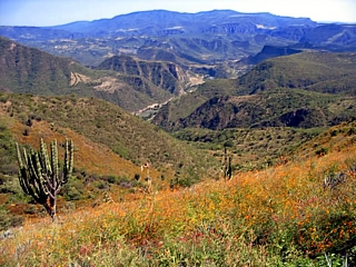 Unveiling the Serene Beauty of Mexicos Sierra Madre Mountains through Hiking Trails