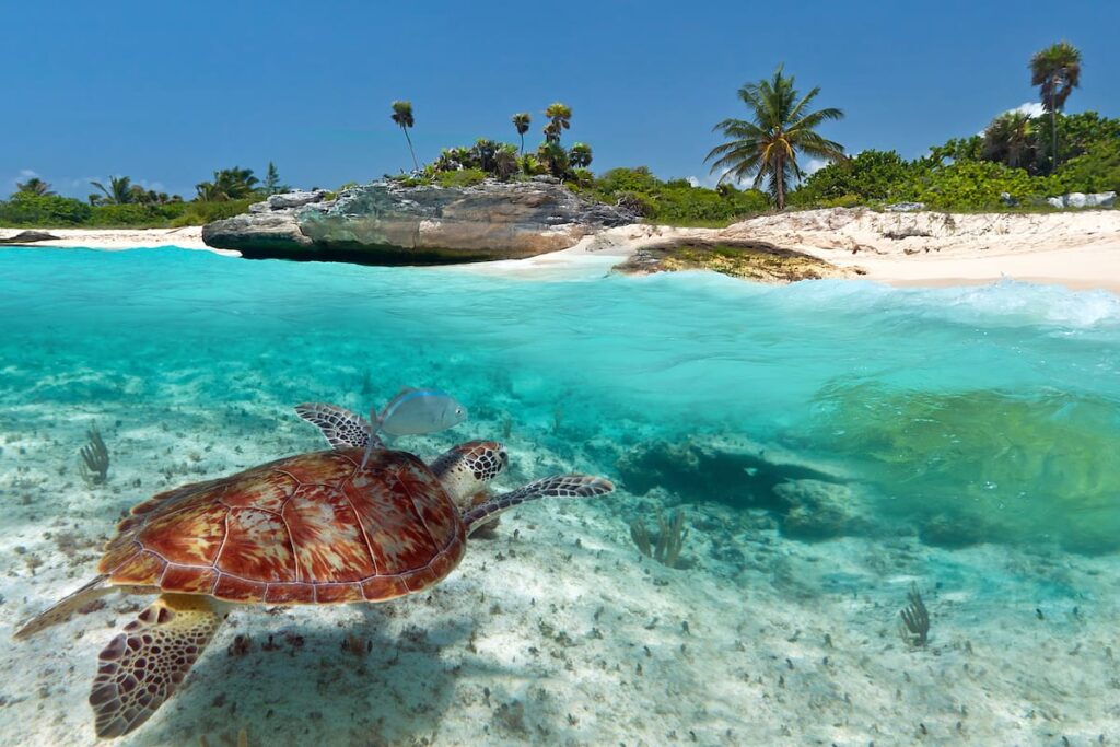 Unveiling the Serene Beauty of Mexicos Yucatan Peninsula Beaches