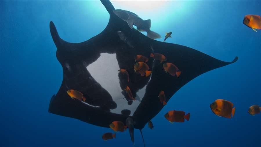 Exploring Mexicos Protected Marine Parks