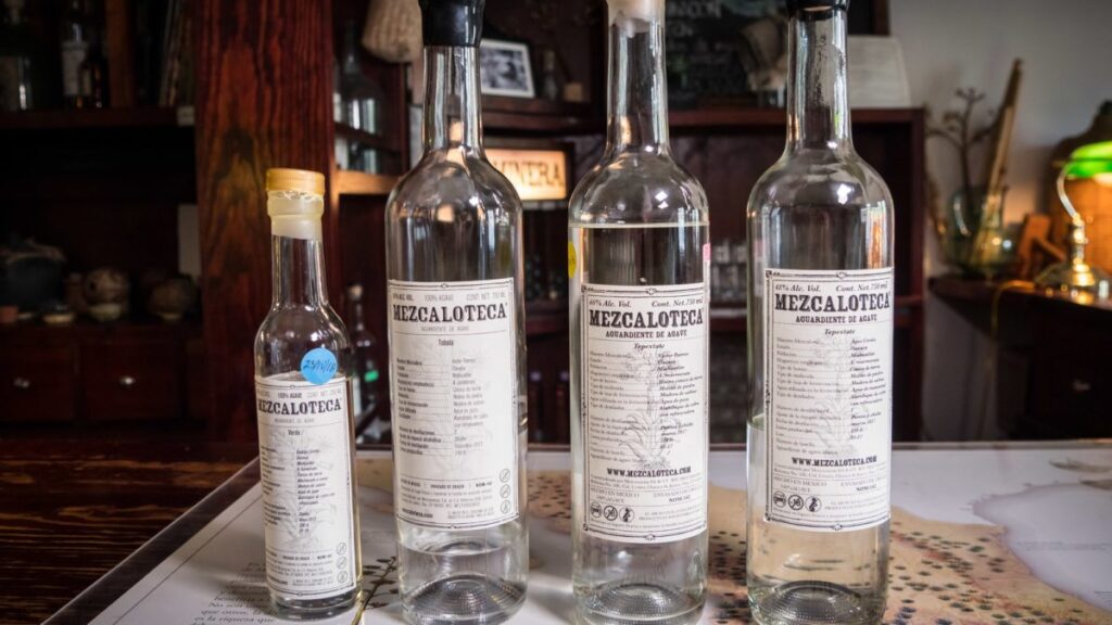 Exploring the Authentic Flavors of Tequila and Mezcal in Mexico