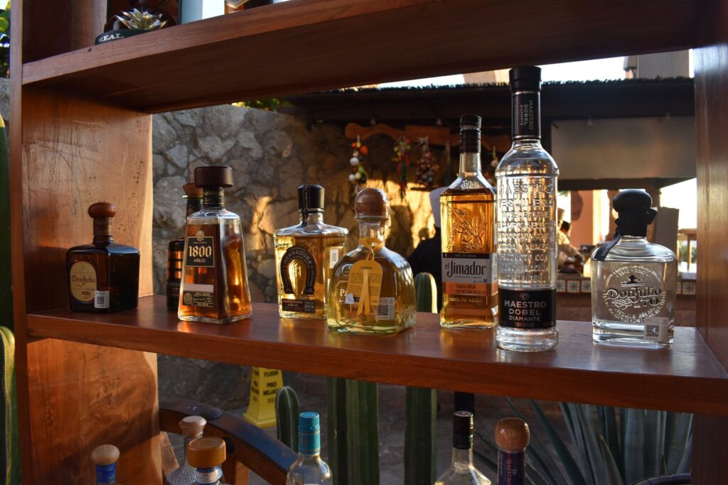 Exploring the Authentic Flavors of Tequila and Mezcal in Mexico