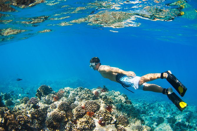 The Splendor of Mexicos Coastal Marine Parks