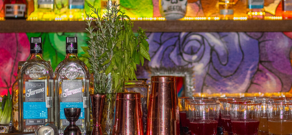 Unveiling the Rich Heritage of Tequila and Mezcal Through Tastings