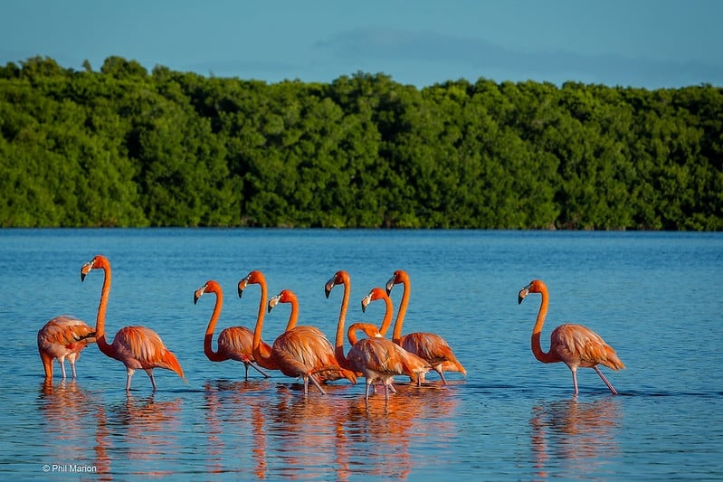 Discovering Mexicos Enchanting Biosphere Reserves