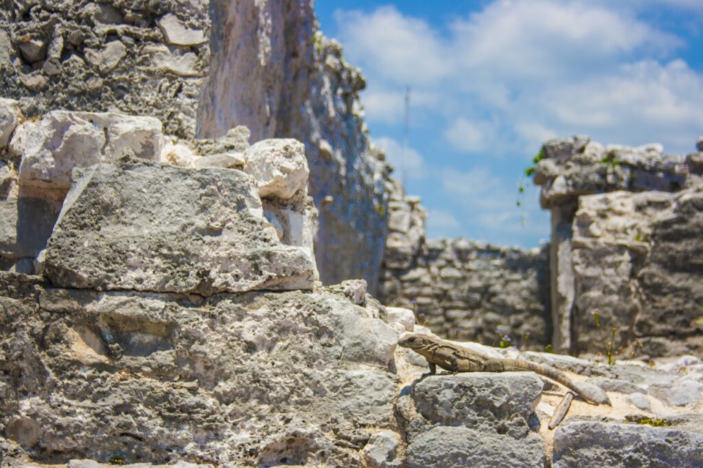 Fishing In Mexico: A Guide To The Best Beachside Spots